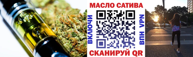 mega ТОР  купить наркотики цена  Емва  ТГК THC oil 