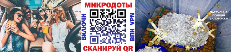 Псилоцибиновые грибы GOLDEN TEACHER  Емва 